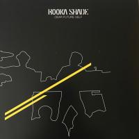 Виниловая пластинка Booka Shade / Dear Future Self (2LP)