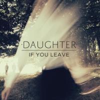 Виниловая пластинка Daughter / If You Leave (1LP)