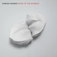 Виниловая пластинка Vanessa Wagner / Study of the invisible (2LP)