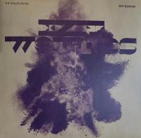 Виниловая пластинка Wallflowers / Exit Wounds (Purple Vinyl) (1LP)