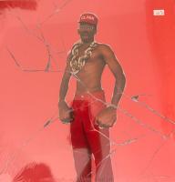 Виниловая пластинка The Creator Tyler / Don't tap the glass (coloured) (1LP)