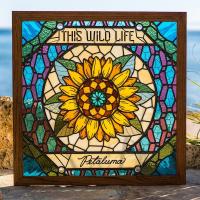Виниловая пластинка THIS WILD LIFE / PETALUMA (1LP)