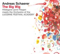 Виниловая пластинка Schaerer Andreas / The Big Wig (2LP)
