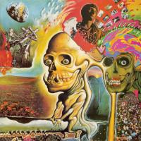 Виниловая пластинка The Flaming Lips / Oh My Gawd!!!... The Flaming Lips (LP)