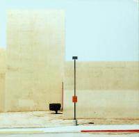 Виниловая пластинка CHAMBERLAIN / SOME OTHER SKY - LTD EDT - GREEN VINYL (1LP)