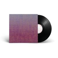 Виниловая пластинка Ambrose Akinmusire & Mary Halvorson / Slo-Mo Neon Luminate Hoverings (1LP)