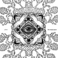 Виниловая пластинка Pfirter / The Empty Space (2LP)