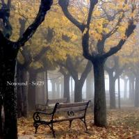 Виниловая пластинка Nosound / Sol29 (2LP)