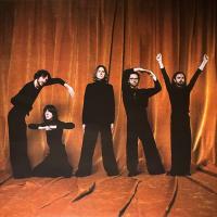 Виниловая пластинка Blossoms / Gary (LP)