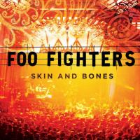 Виниловая пластинка Foo Fighters / Skin And Bones (2LP)
