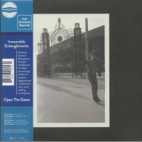 Виниловая пластинка Irreversible Entanglements / Open The Gates (2LP)