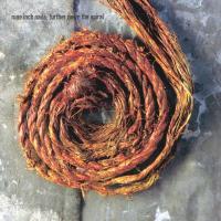 Компакт-диск Nine Inch Nails / Further Down The Spiral (CD)