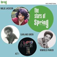 Виниловая пластинка VARIOUS ARTISTS / THE STARS OF SPRING RECORDS (1LP)