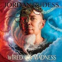 Виниловая пластинка JORDAN RUDESS / WIRED FOR MADNESS (2LP)