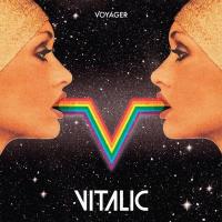 Компакт-диск Vitalic / Voyager (CD)
