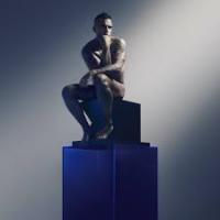 Виниловая пластинка Robbie Williams / Xxv (2LP)