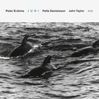 Компакт-диск Peter Erskine / Juni (CD)