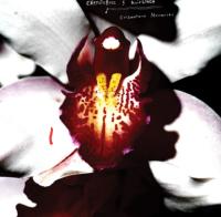 Виниловая пластинка Chrystabell & David Lynch / Cellophane Memories (1LP)