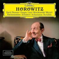 Виниловая пластинка Vladimir Horowitz / Horowitz (The Last Romantic) (LP)