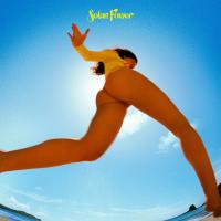 Виниловая пластинка Lorde / Solar Power (LP)