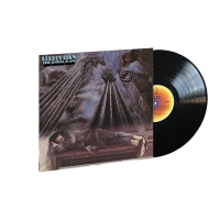 Виниловая пластинка Dan Steely / The Royal Scam (1LP)