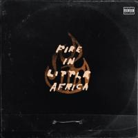 Виниловая пластинка Fire In Little Africa / Fire In Little Africa (2LP)