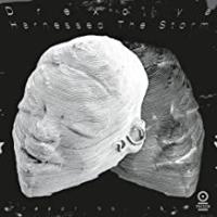Виниловая пластинка Drexciya / Harnessed The Storm (45 RPM) (2LP)