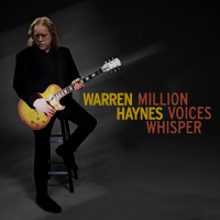 Виниловая пластинка Warren Haynes / Million Voices Whisper (Carnary Yellow) (1LP)