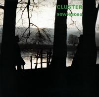 Виниловая пластинка Cluster / Sowiesoso (LP)