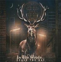 Виниловая пластинка In The Woods / Cease The Day (2LP)