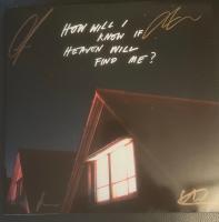 Виниловая пластинка Amazons / How Will I Know If Heaven Will Find Me? (1LP)
