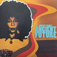 Виниловая пластинка Dwight Trible / Ancient Future (1LP)