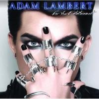 Компакт-диск Adam Lambert / For Your Entertainment (1CD)
