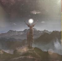 Виниловая пластинка Борис Гребенщиков / Pictures of you (lp)