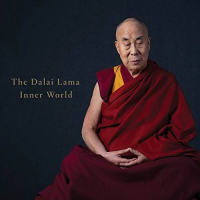 Виниловая пластинка Dalai Lama / Inner World (coloured) (1LP)