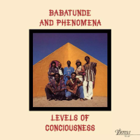 Виниловая пластинка Babatunde & Phenomena / Levels Of Consciousness (1LP)
