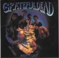 Виниловая пластинка Grateful Dead / Built to last (1LP)