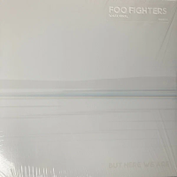Компакт-диск Foo Fighters / But Here We Are (Digisleeve) (1CD)