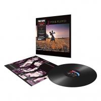 Виниловая пластинка Pink Floyd / A Collection Of Great Dance Songs (LP) Виниловая пластинка Pink Floyd / A Collection Of Great Dance Songs (LP)