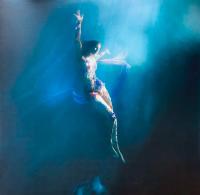 Виниловая пластинка ELLIE GOULDING / Higher Than Heaven (1LP)