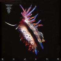 Виниловая пластинка SUB FOCUS / Evolve (2LP)