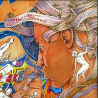 Виниловая пластинка Mat Chiavaroli / No Stranger To Madness (2LP)