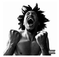 Виниловая пластинка Bobby Sessions / Manifest (1LP)