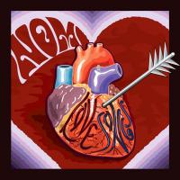 Виниловая пластинка НОМ / Love Songs (LP)