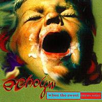 Компакт-диск Echolyn / When The Sweet Turns Sour (CD)