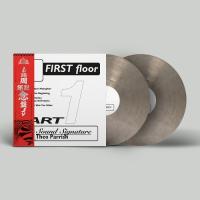 Виниловая пластинка Theo Parrish / First Floor Part 1 (coloured) (2LP)