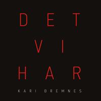 Виниловая пластинка Kari Bremnes / Det vi har (180g) (3LP)