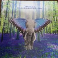 Виниловая пластинка Tom Morello / The Atlas Underground Flood (Sky Blue Grape Vinyl) (1LP)