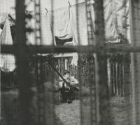 Компакт-диск Paul McCartney / Chaos And Creation In The Backyard (Digisleeve) (1CD)