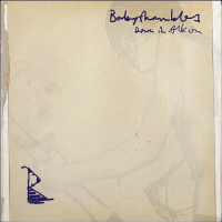 Виниловая пластинка Babyshambles / Down In Albion (20th Anniversary) (coloured) (2LP)